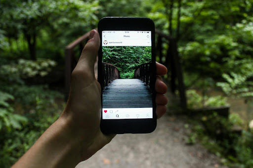 A hand holding a cell phone while walking on a tree lined path. The image on the phone is that of the path ahead