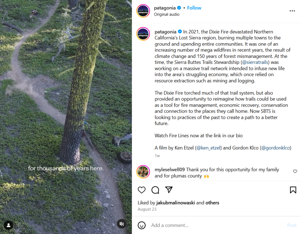 An Instagram post by patagonia. The video shows an image of a tree covered in moss. The angle is from what seems to be a drone camera. the text on the video reads "for thousands of years here." 