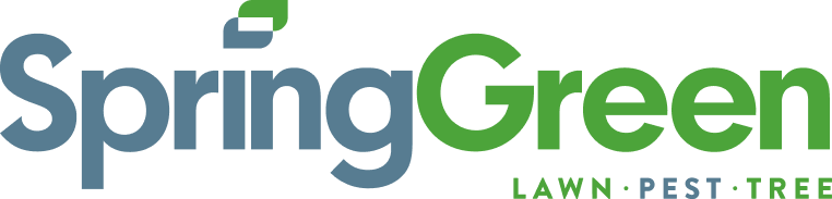 Spring Green's company logo consists of the word "SpringGreen." The word "Spring" is in a blue-ish/gray color, and the dot on the i in Spring is a leaf that has green and blue/gray in it. The word Green is in a green color. Below the word green are the uppercase words "LAWN PEST TREE." Lawn and tree are in a green color, and PEST is in a grayish-blue color.