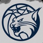 Minnesota Lynx