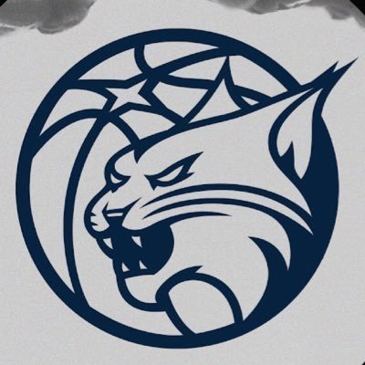 The Minnesota Lynx logo consists of the navy blue outline of a basketball with a navy blue outline of a lynx's head. The background is white.