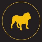 Pavone Group