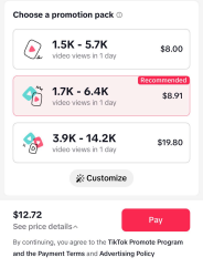 The promotion pack showcases the prices and how many video views a user will get within a day. 
