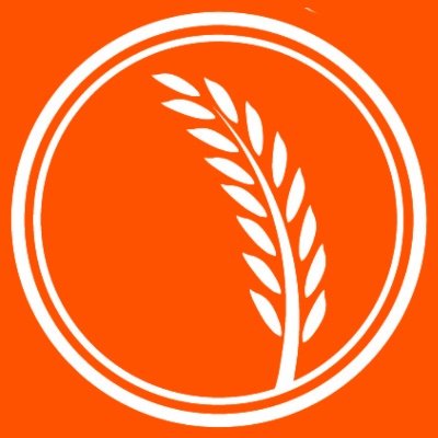 Social Media Manager