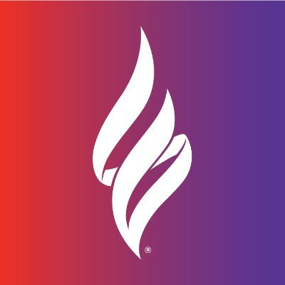 Epilepsy Foundation of Minnesota's company logo consists of gradient a red and purple background with a white flame-looking ribbon design.
