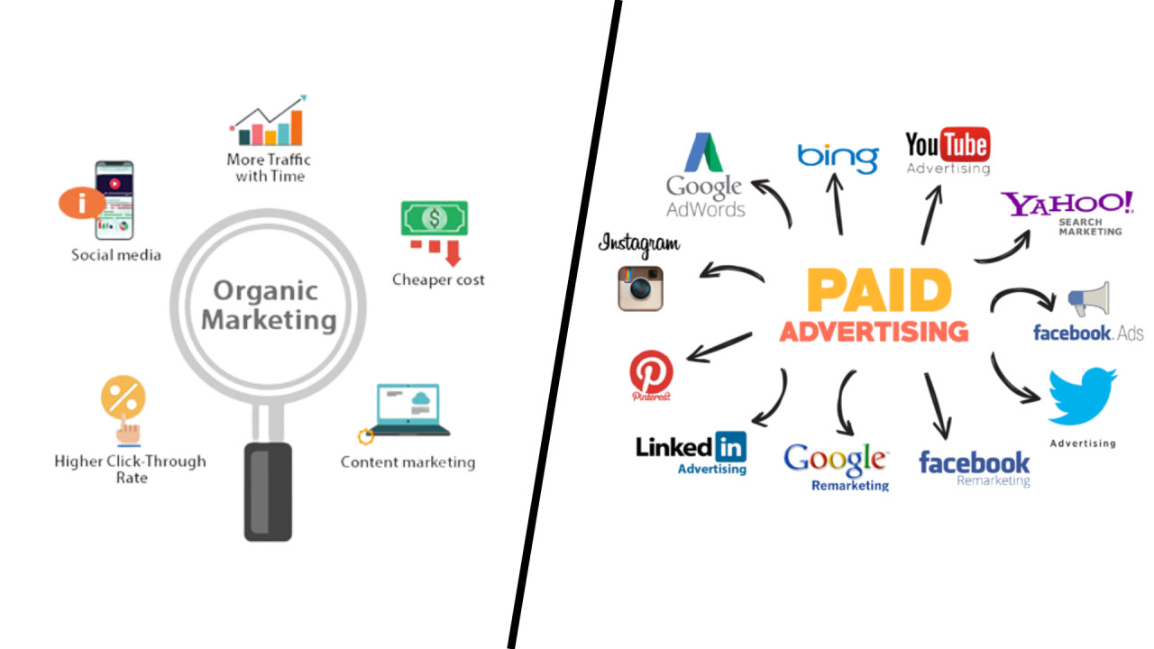 The Feedback Loop: How Paid Search Insights Can Help Organic Growth